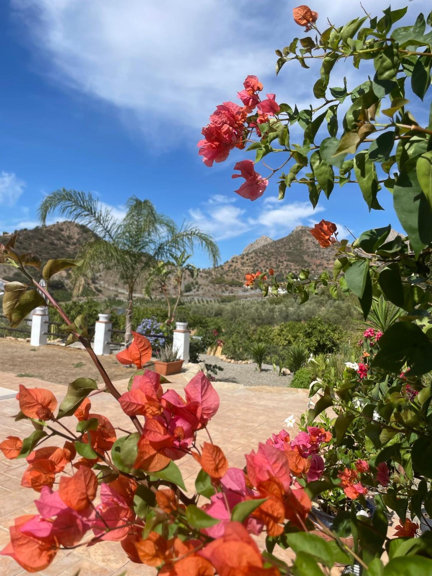 Finca Valle Verde Alora Luaran gambar