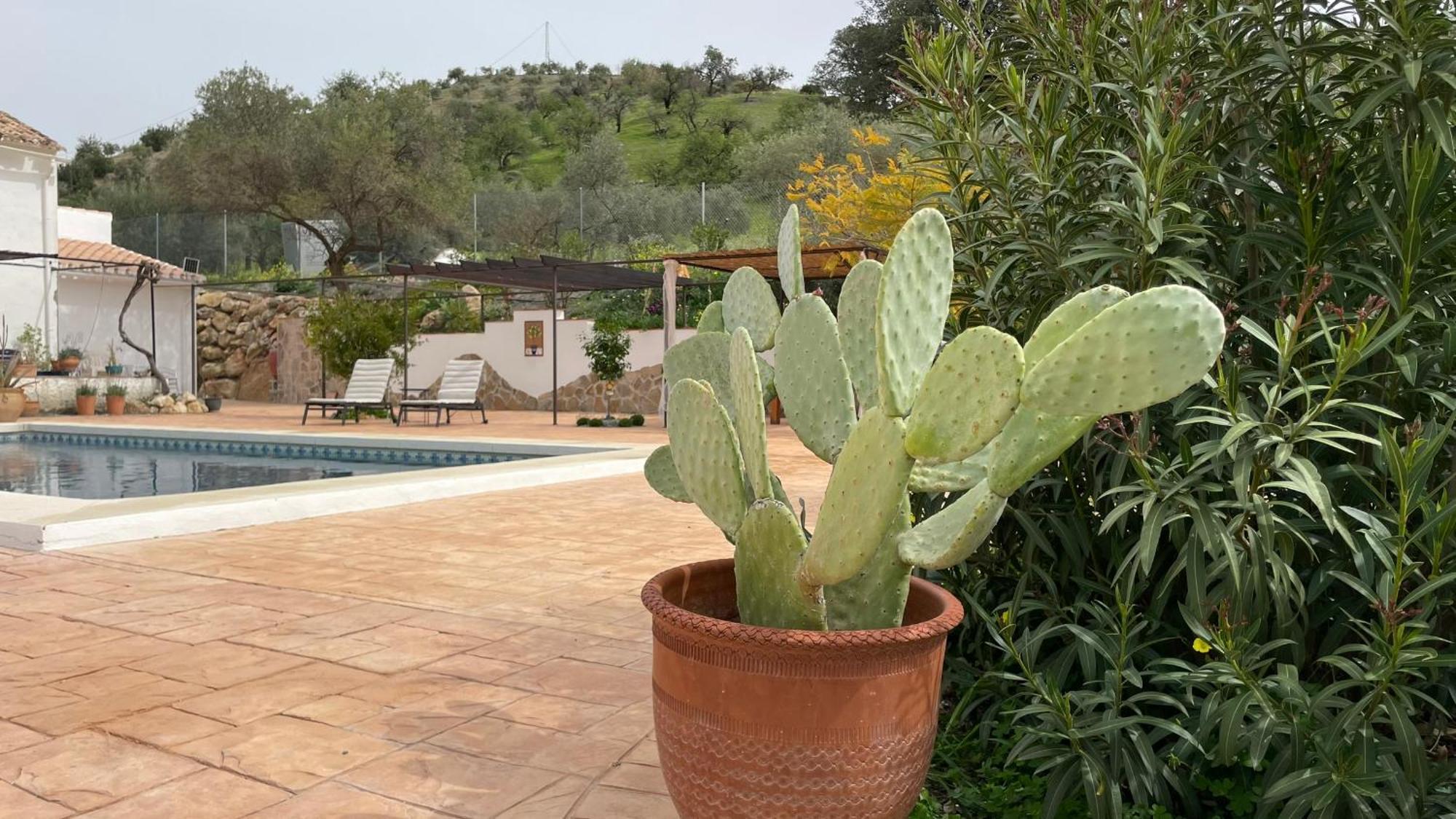 Finca Valle Verde Alora Luaran gambar